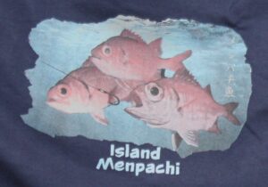 Island Menpachi (Navy)